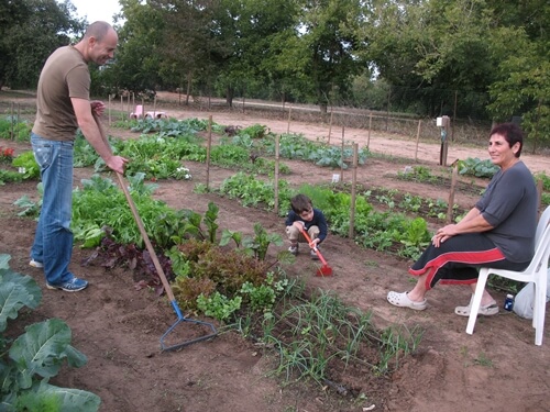 אוריגני - חווה אורגנית